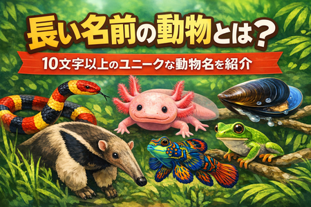 長い名前の動物とは？10文字以上のユニークな動物名を紹介